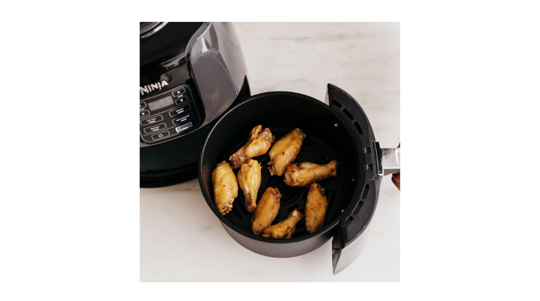 ninja air fryer dehydrator beef jerky